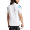 2024 Argentina Messi Training Shirt