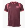 Argentina Superliga | 2026 Lanus Home Jersey