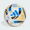 Argentina 2025 Pro Match Ball – Official adidas Football