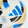 Argentina 2025 Pro Match Ball – Official adidas Football