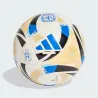 Argentina 2025 Mini Ball – adidas Official Foam Football
